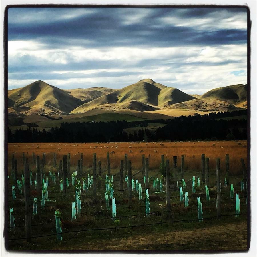 Romantic Vineyard Getaway Waipara Εξωτερικό φωτογραφία