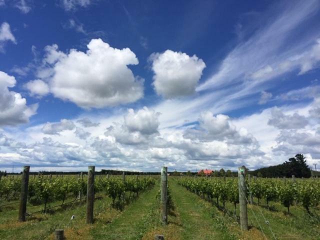Romantic Vineyard Getaway Waipara Εξωτερικό φωτογραφία