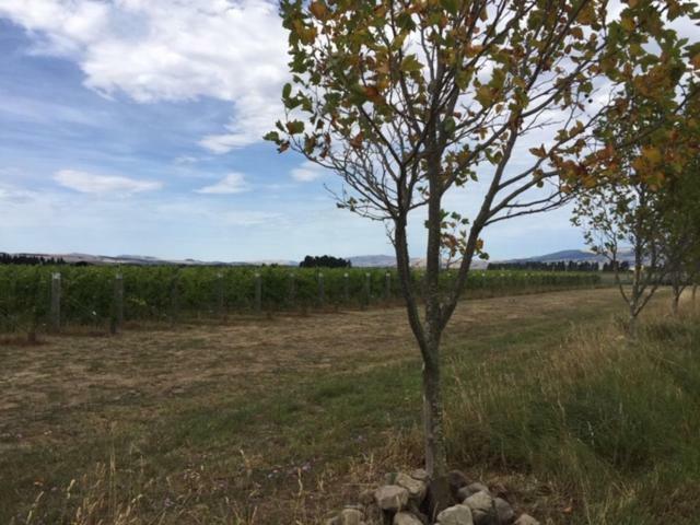 Romantic Vineyard Getaway Waipara Εξωτερικό φωτογραφία